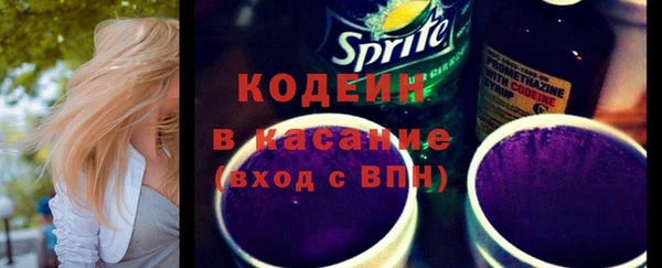 стаф Корсаков