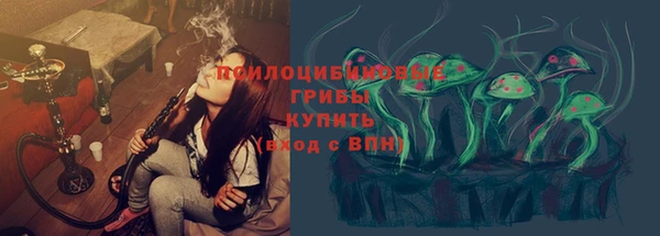 синтетический гашиш Пролетарск